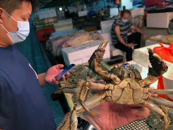 吃货久等了！今年阳澄湖大闸蟹或将错过中秋节休闲区蓝鸢梦想 - Www.slyday.coM