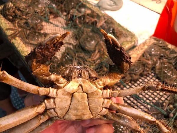 吃货久等了！今年阳澄湖大闸蟹或将错过中秋节休闲区蓝鸢梦想 - Www.slyday.coM