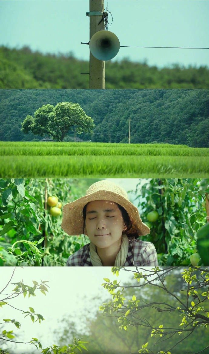 好好吃饭,好好生活 ——《小森林》 韩版_高清图集_新浪网