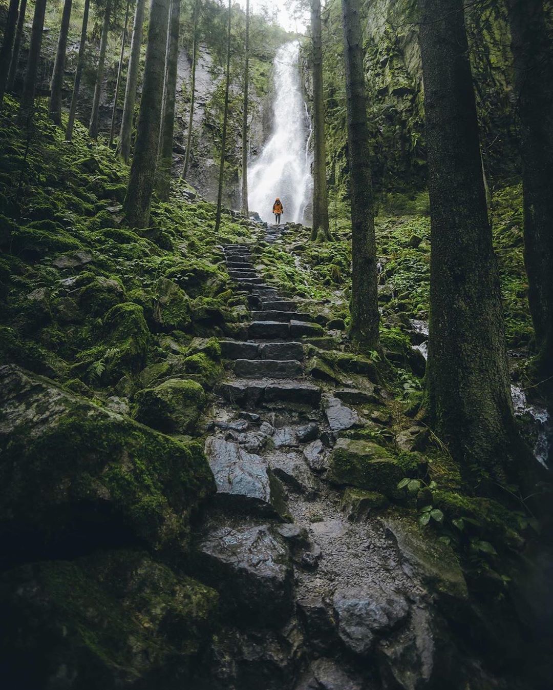 生活得最有意义的人,并不就是年岁活得最大的人