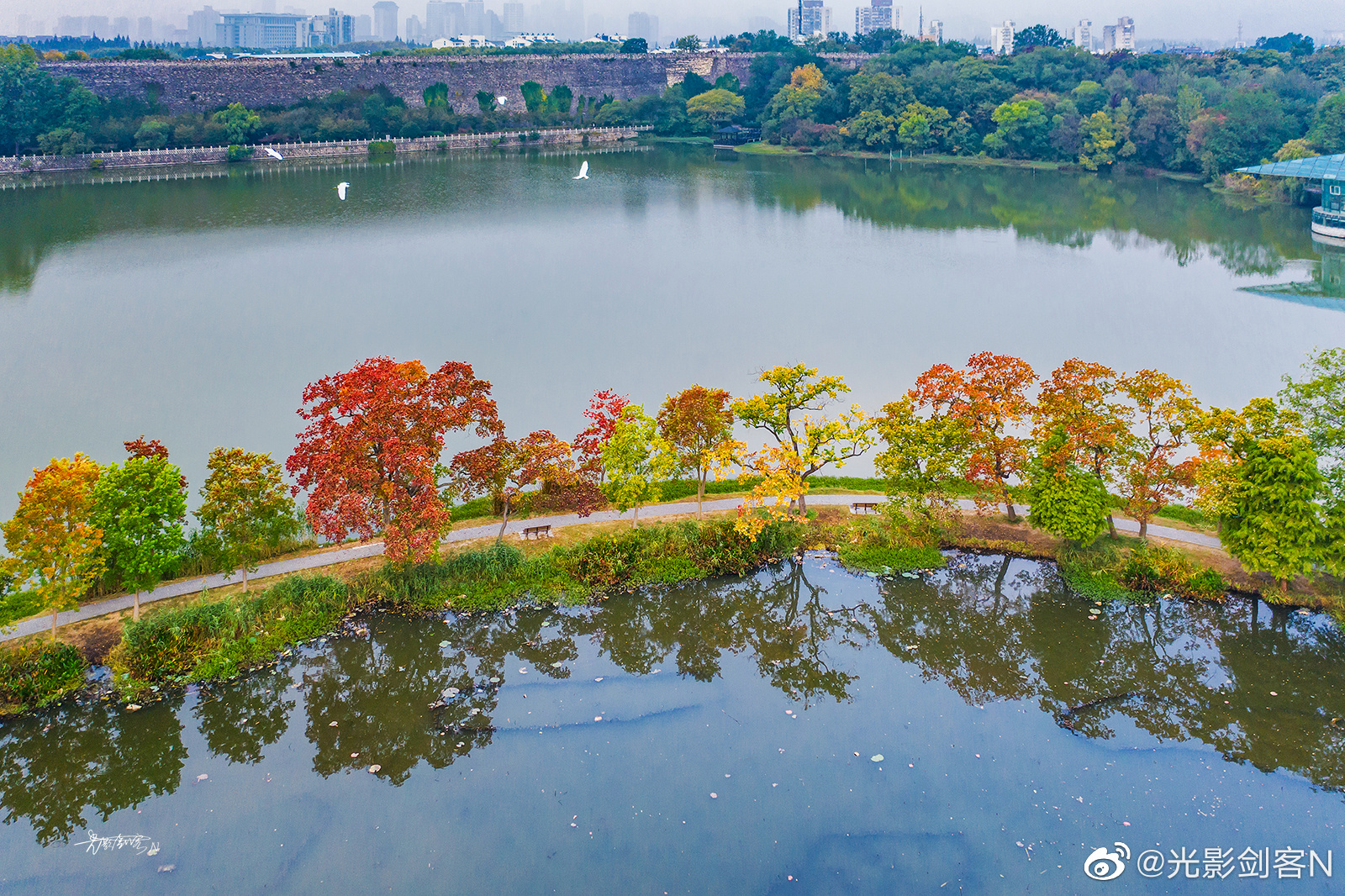 前湖秋色 (南京中山植物园)__财经头条