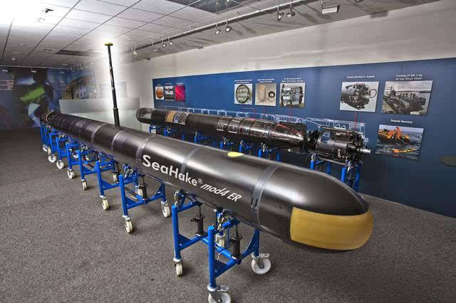 世界顶级装备,mk48重型鱼雷一枚价值连城,按照吨价算比洲际导弹还贵