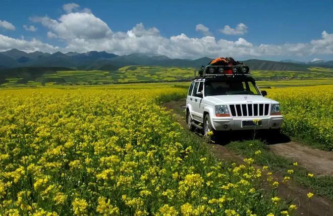 逃离婚姻自驾游2年的苏敏，回家后被丈夫大骂，她该何去何从？休闲区蓝鸢梦想 - Www.slyday.coM