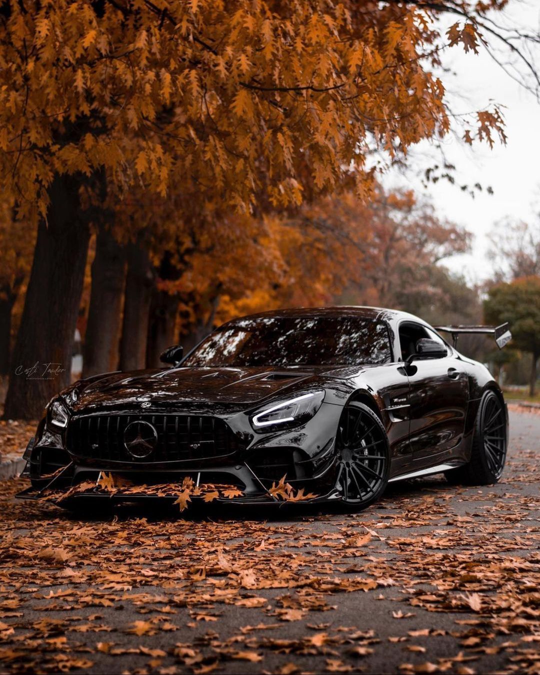 秋叶下的奔驰amg gtr!_高清图集_新浪网