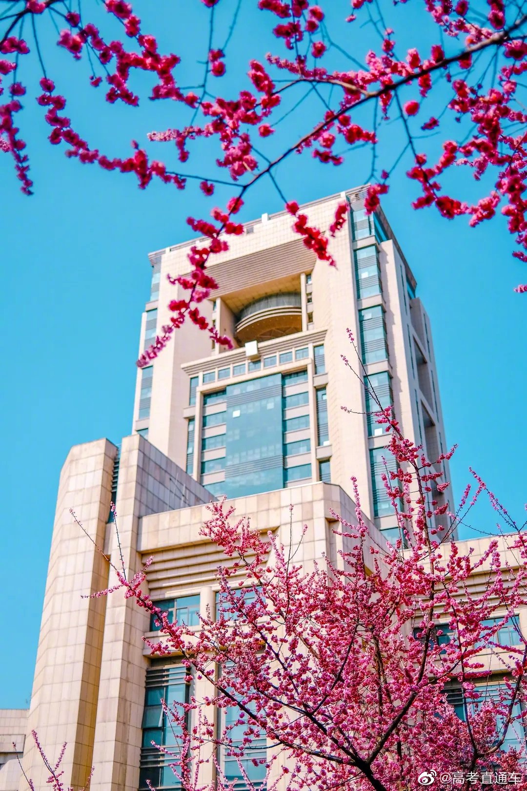 校园风景 | 西安交通大学_高清图集_新浪网