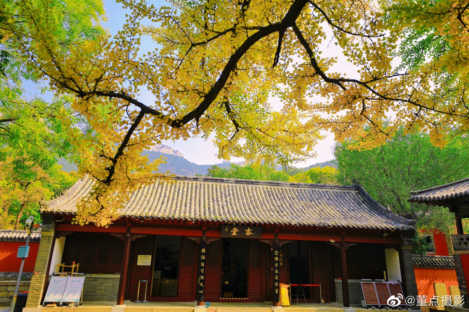 济南长清大灵岩寺最美的绚丽秋光