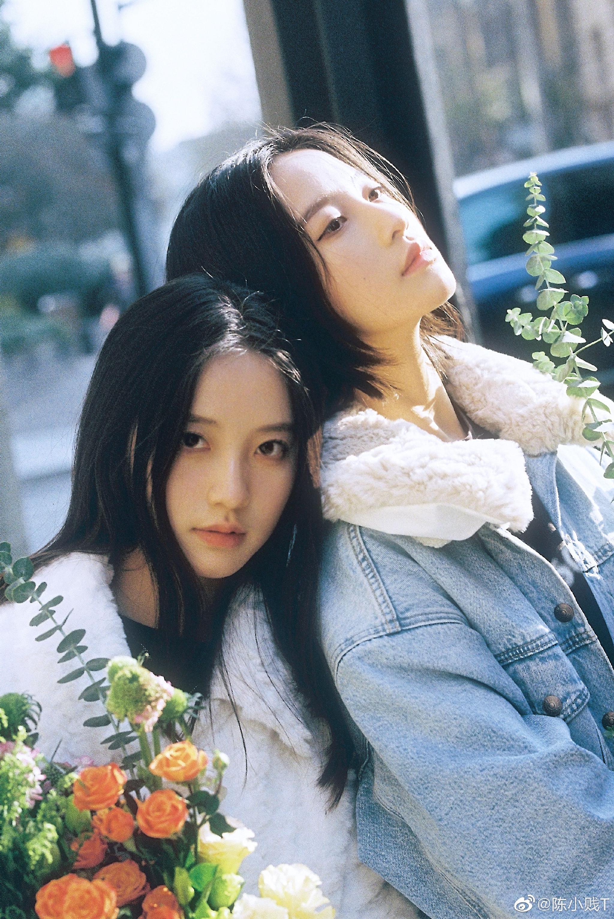 寒春的上海 @周一和周二_twins|摄影_新浪新闻