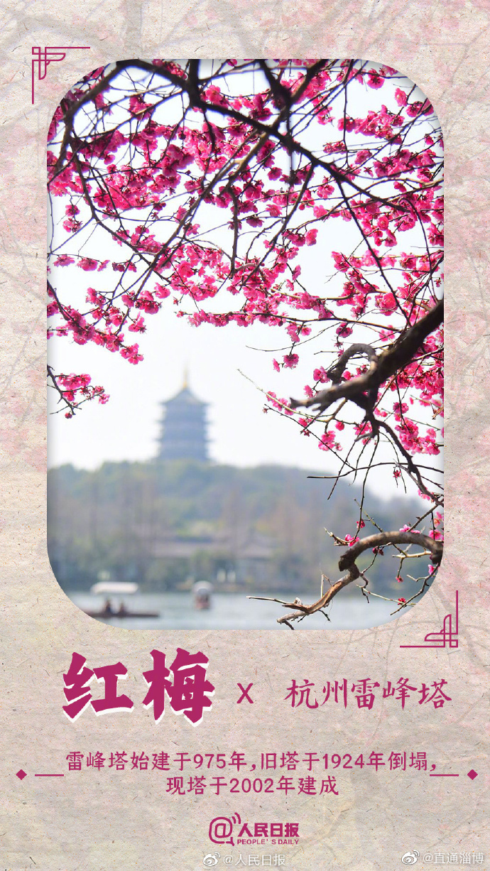 春花焰