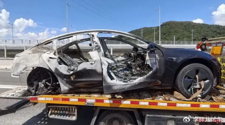 车都被烧成“铁架子”了,电池还能安然无恙?双闪还扑腾扑腾的-新浪汽车