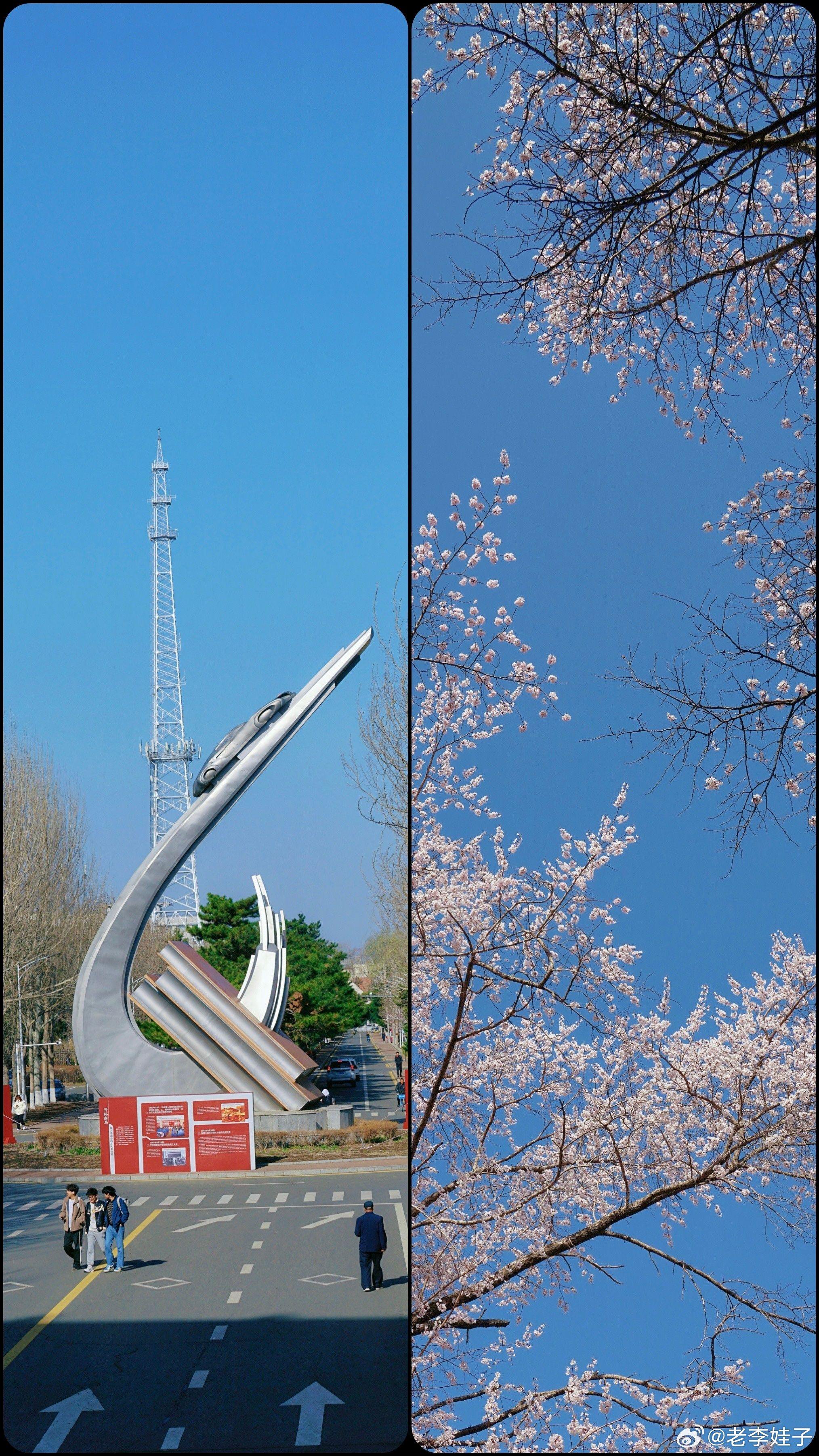 吉林大学南岭校区2025春季杏花文化节开幕