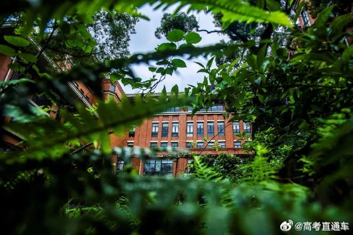 校园风景 | 中山大学
