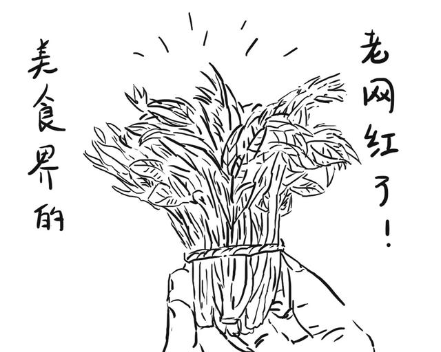 有画说丨深扒一下香椿的历史你会发现贵是有原因的