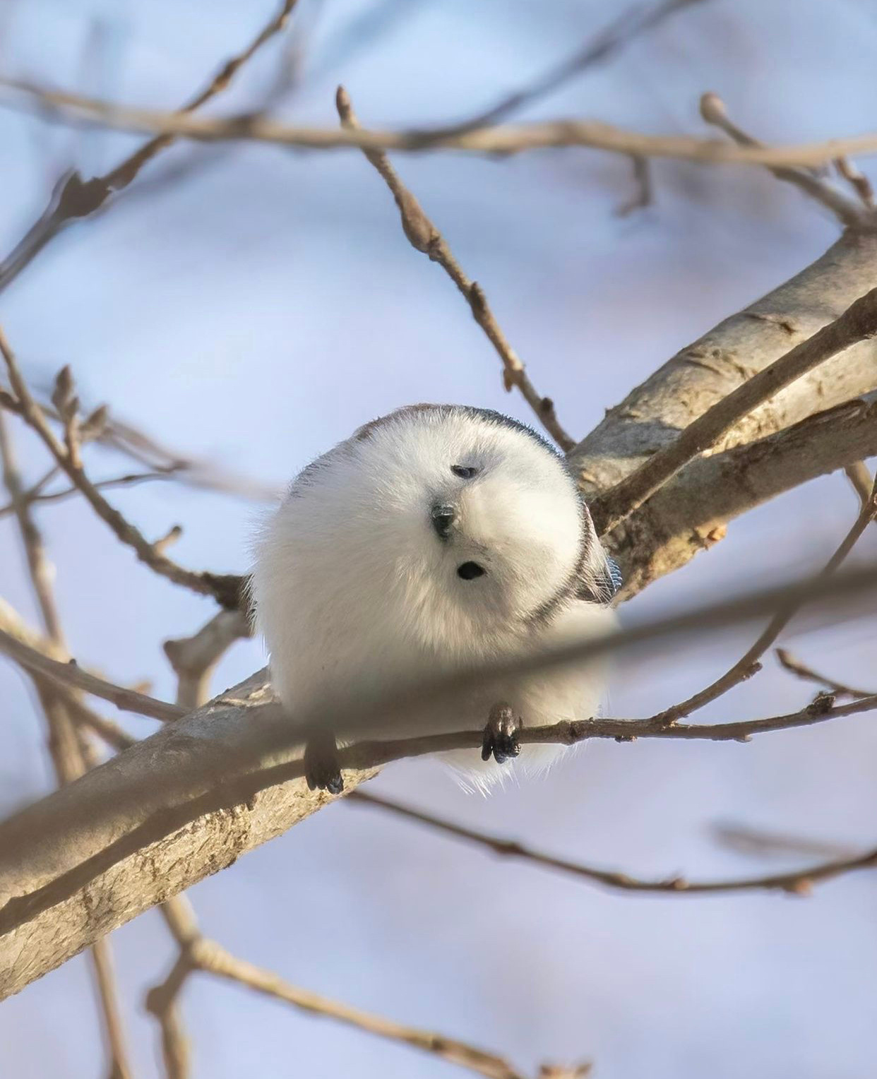高清图集_新浪网
