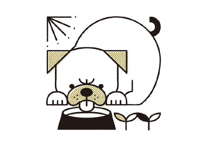 可爱趣味的几何小狗形象~ :shunsuke satake-dogs