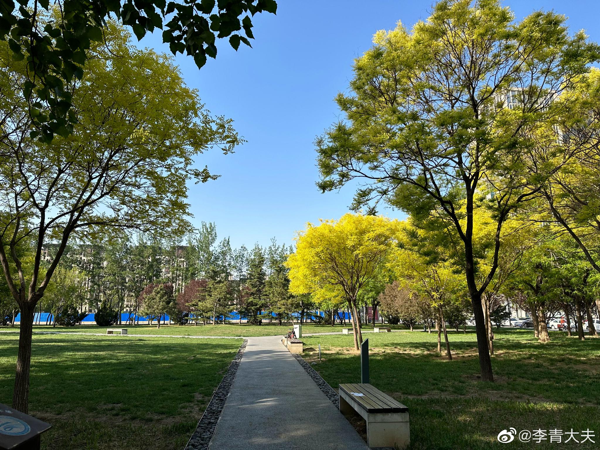 晨曦中的街边公园