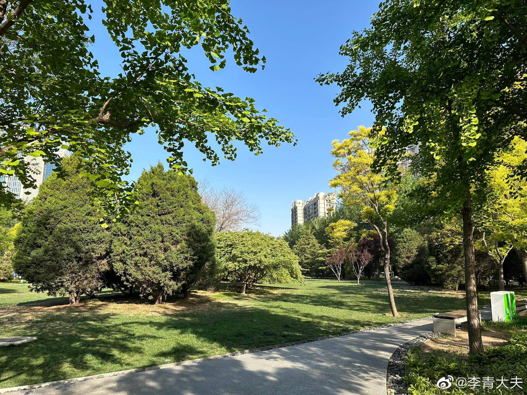 晨曦中的街边公园