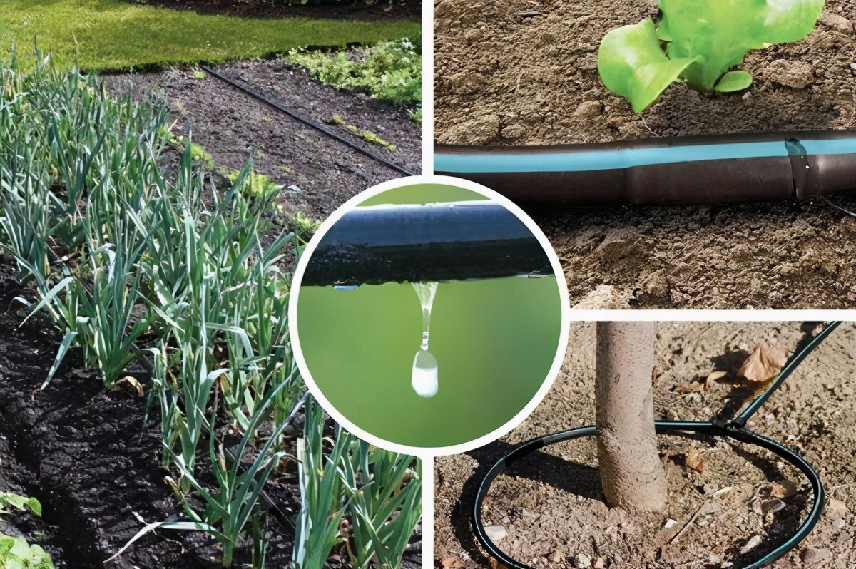 一半是沙漠的以色列几乎不下雨为何能让一吨淡水仅卖五元