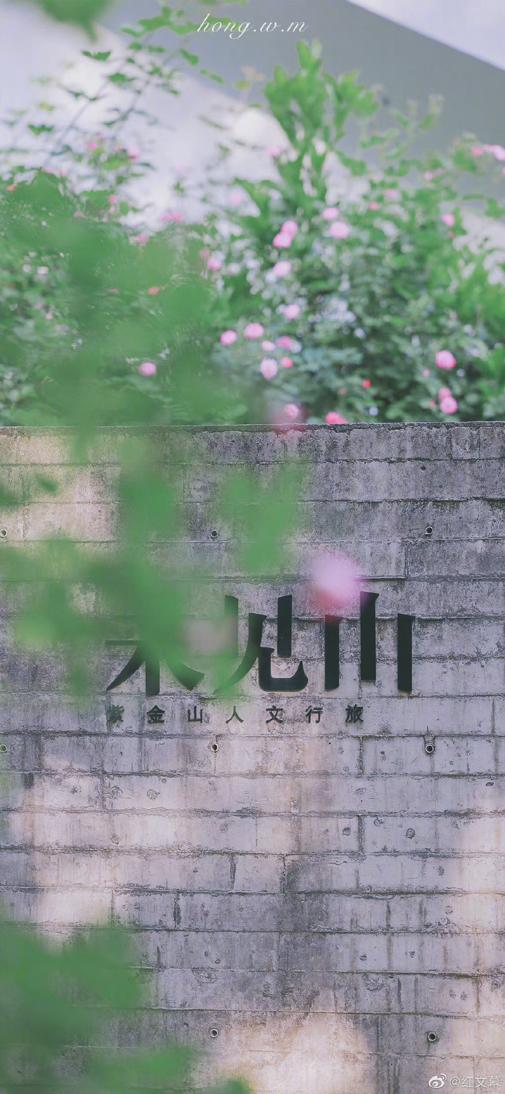 万树江边杏新开一夜风满园深浅色照在绿波中王涯