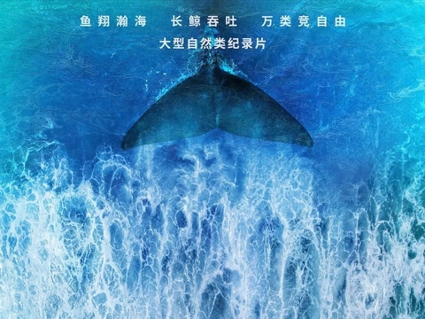 海洋的壮阔与奥秘 每个人心中的那片蔚蓝大海