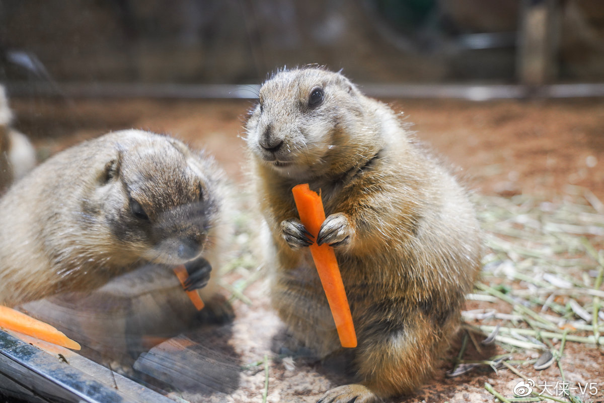 魔都一站式亲子乐园,面积超20000平米一天玩不够,玩水