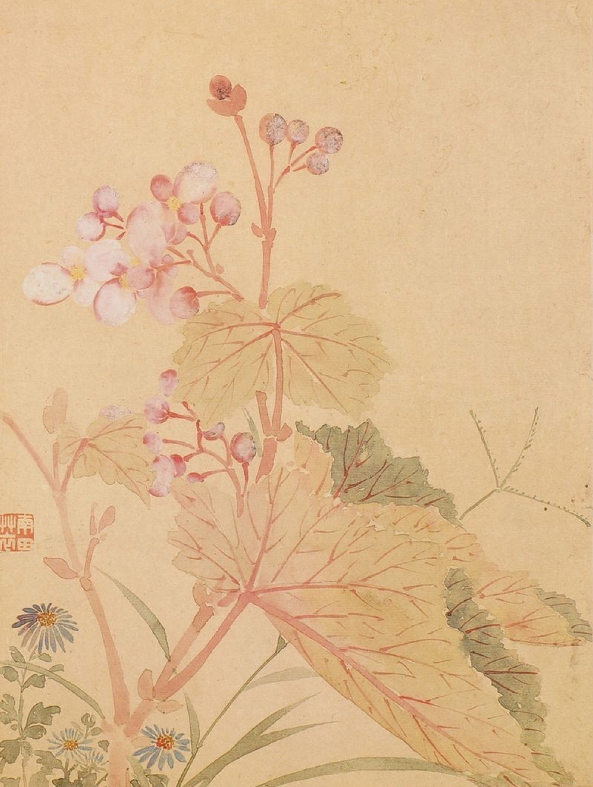 " 清新淡雅,与花传神… "丨 恽寿平 · 没骨花鸟_高清图集_新浪网