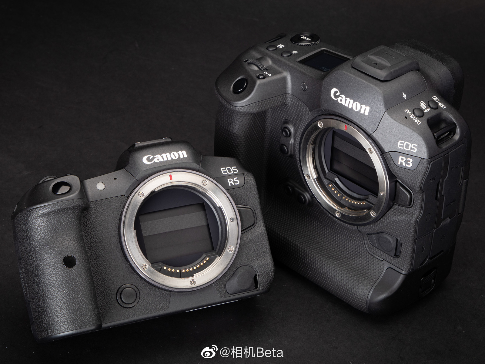 佳能eosr3vseos1dxmarkiiieosr5体积对比