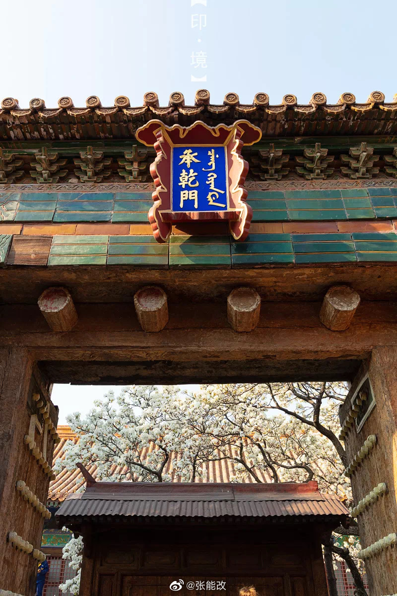 那年春日承乾宫内梨花似雪