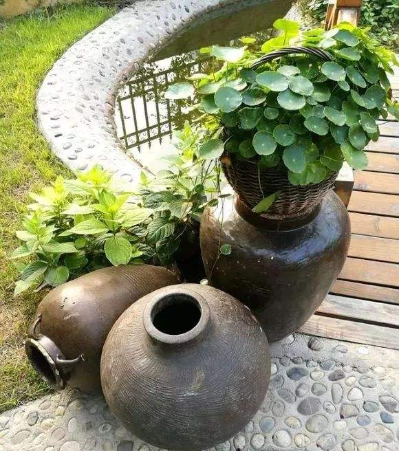 看起来还挺搭!|花盆|酒瓶子|酒钢_新浪新闻