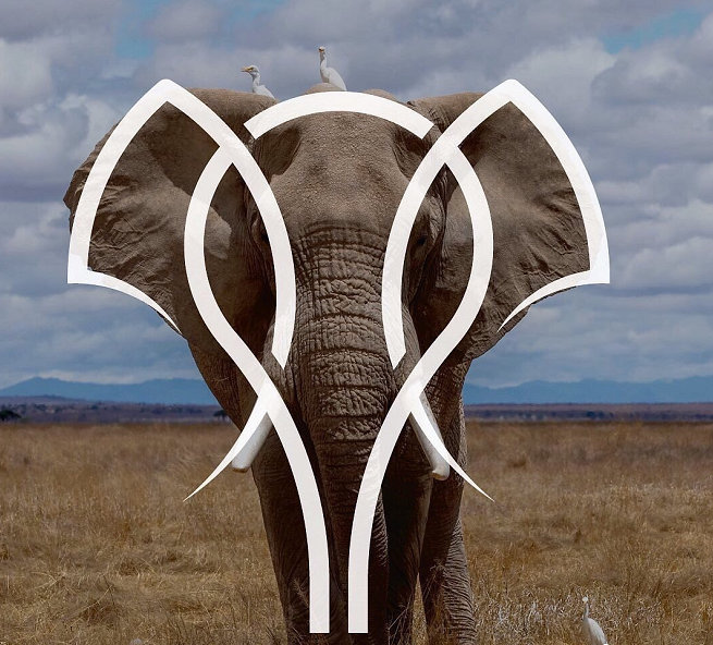 一张照片就是一个logo,动物图形创意联想!_高清图集_新浪网