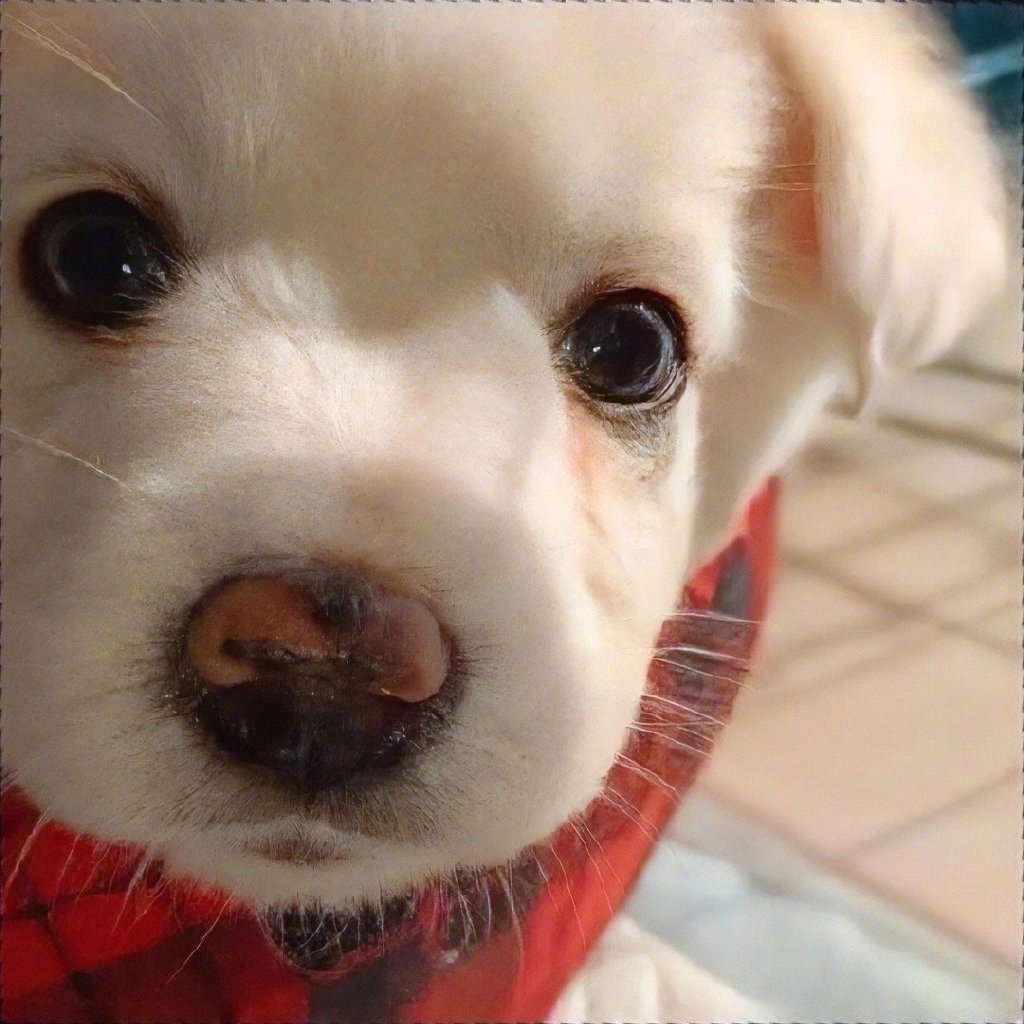 一组可爱的怼脸大头照