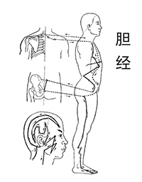 7类人容易提前长白发，不同位置的白头发这样改善休闲区蓝鸢梦想 - Www.slyday.coM
