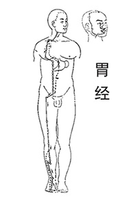 7类人容易提前长白发，不同位置的白头发这样改善休闲区蓝鸢梦想 - Www.slyday.coM
