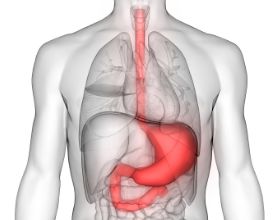 胰腺疼的位置图片
