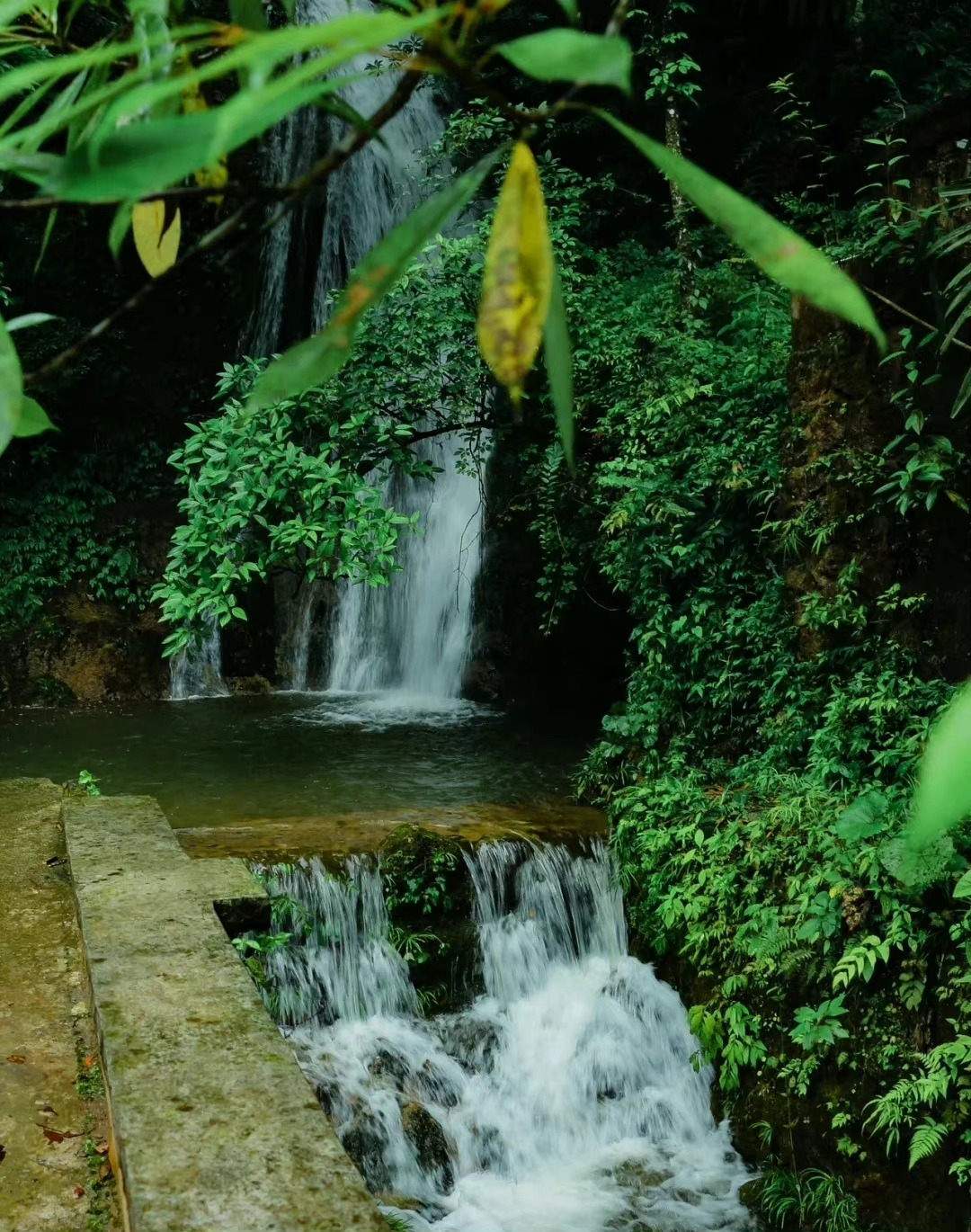 飞花令,"水" 天平山上白云泉,云自无心水自闲……__财经头条