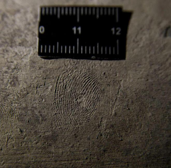 太意外!秦陵“仰卧俑”身上发现神秘指纹,居然是青少年的…休闲区蓝鸢梦想 - Www.slyday.coM 太意外!秦陵“仰卧俑”身上发现神秘指纹,居然是青少年的…休闲区蓝鸢梦想 - Www.slyday.coM