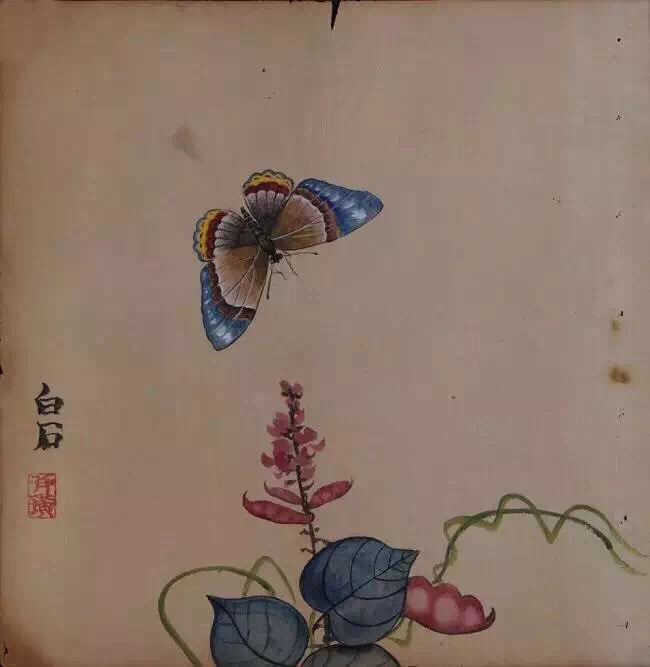 齐白石工笔虫草欣赏