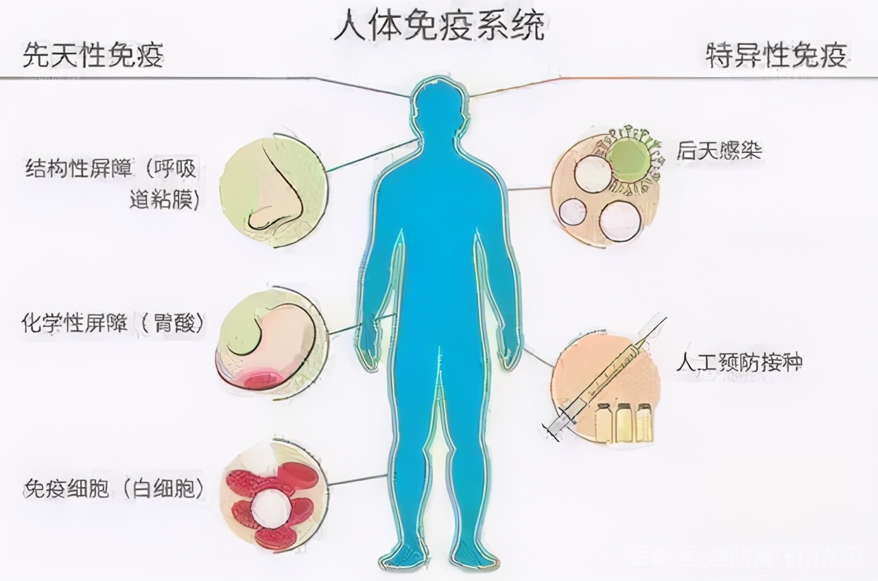 病毒的终极目的,是为了杀死宿主,还是和宿主共生?