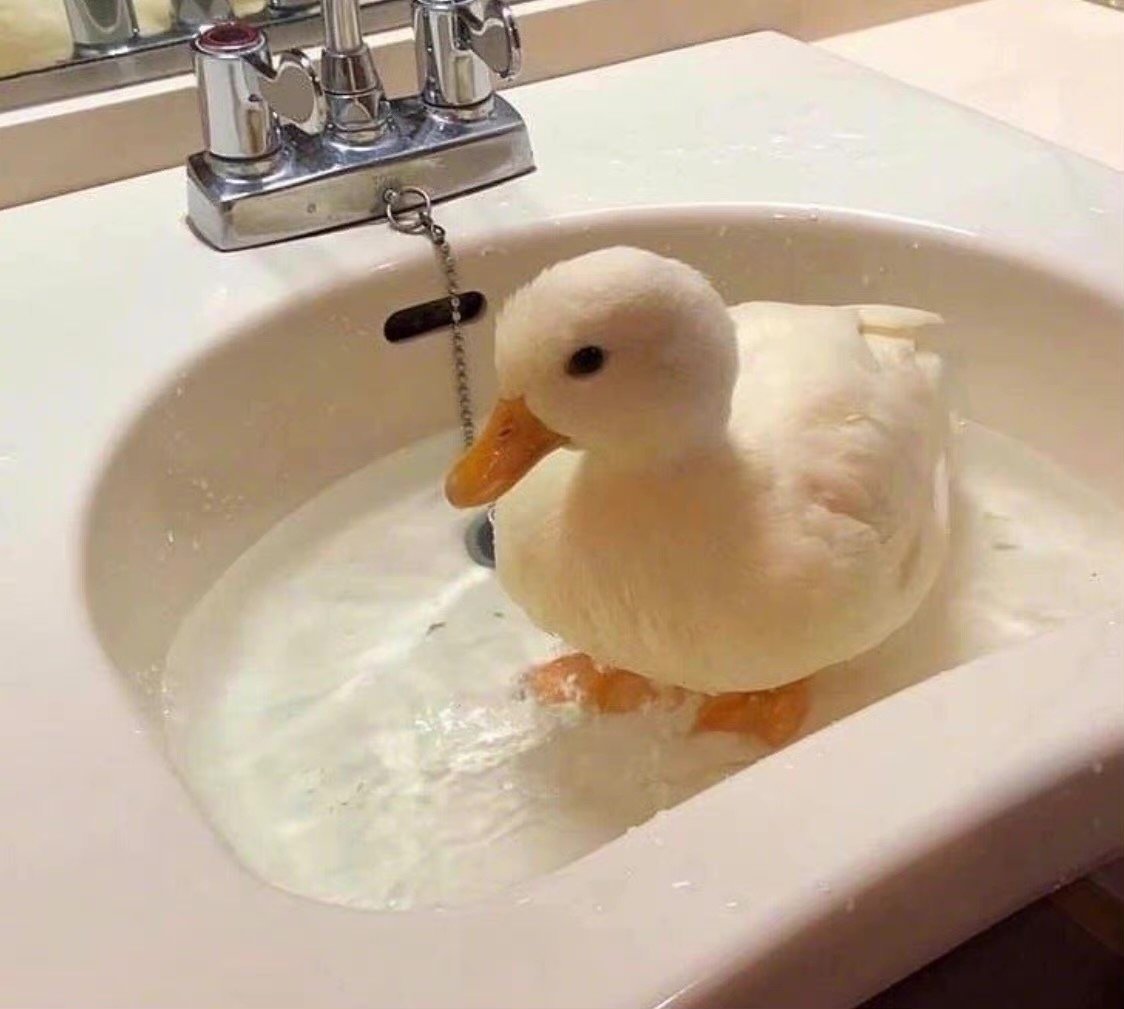 我爱洗澡皮肤好好