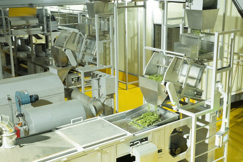 杀青,揉捻,解块……茶叶加工步骤实现了机械自动化