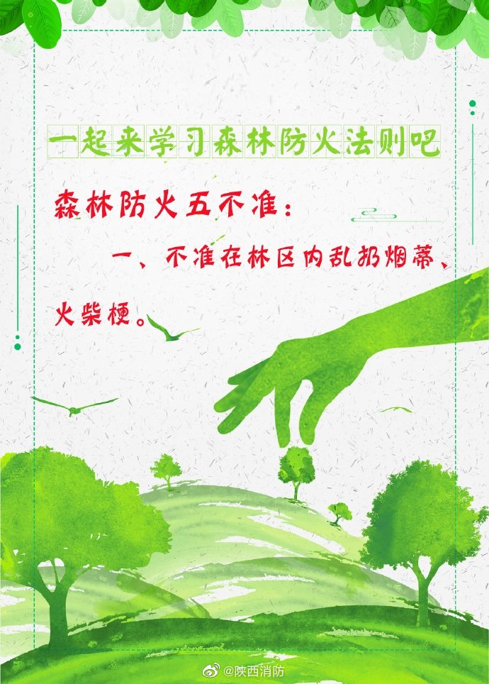 一起来学习森林防火法则吧 一起来学习森林防火法则吧