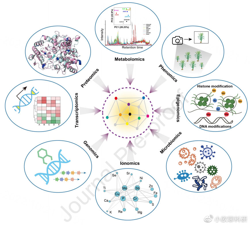 综述：植物代谢组学过去十年研究进展和未来展望