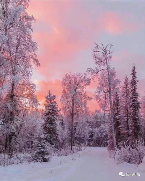 当我老了——对老年管理的一些思考休闲区蓝鸢梦想 - Www.slyday.coM