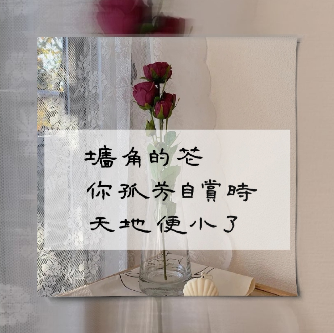 今日作业:墙角的花你孤芳自赏时天地便小了