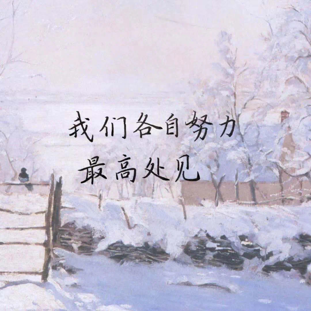 今日作业: 我们各自努力 最高处见 等大家的作业呀