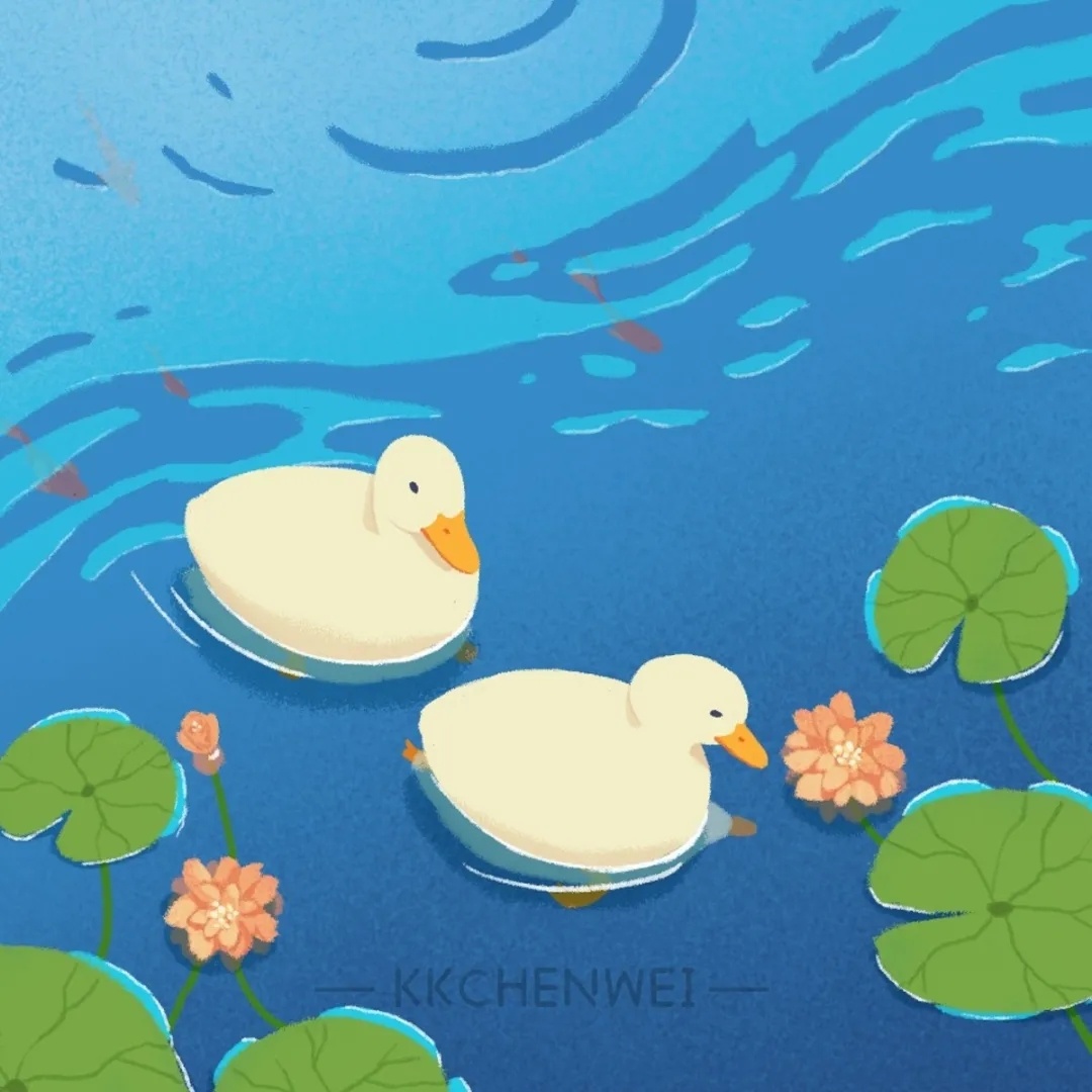 小鸭子|插画|儿童插画|Z93204716 - 原创作品 - 站酷 (ZCOOL)