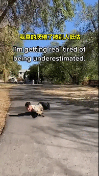 怀孕期间,被虐待被抛弃,她现在怎样了?|猫_新浪新闻