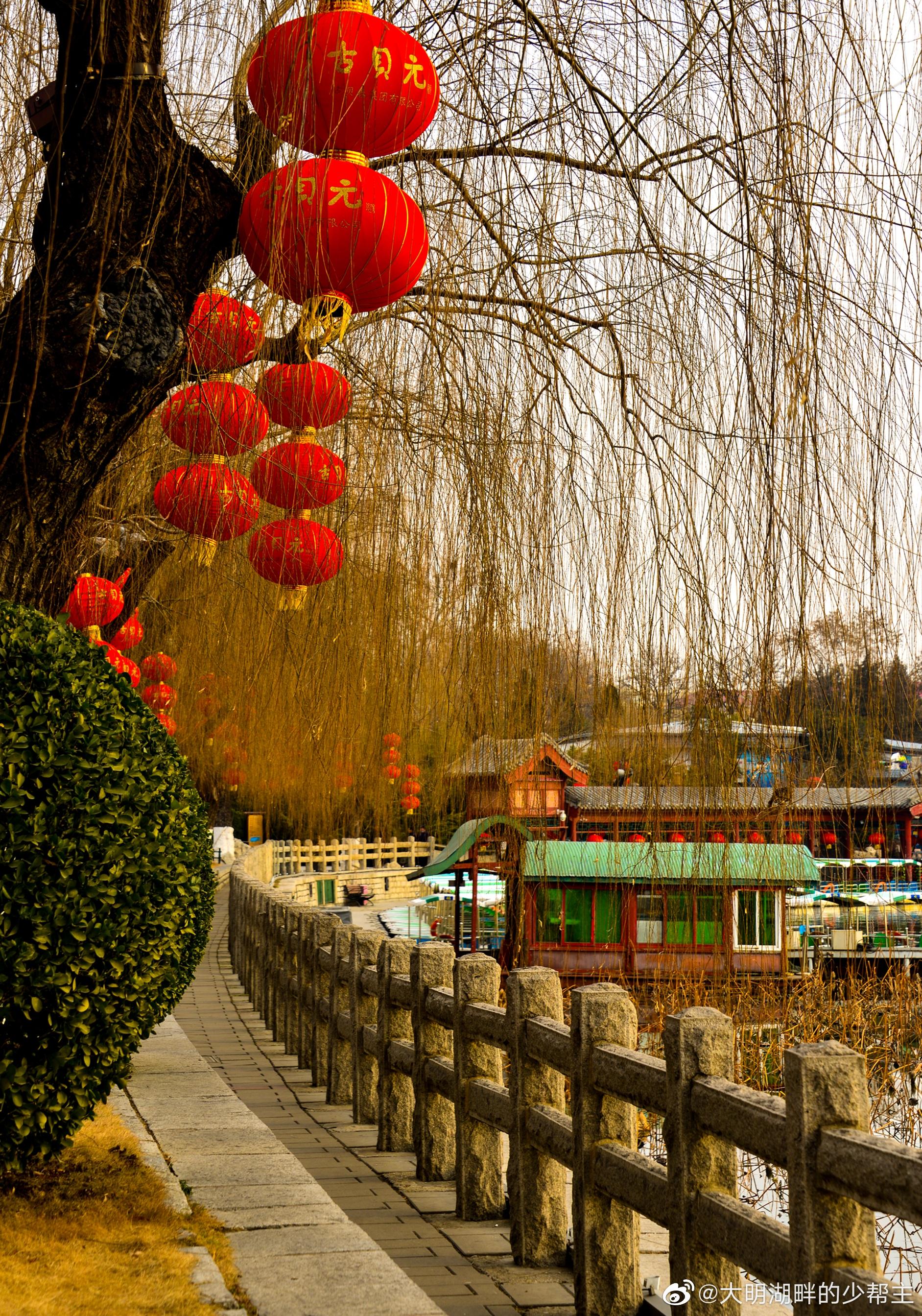 春风拂面垂柳舞大明湖畔红灯笼高高挂到处洋溢着节日的气氛