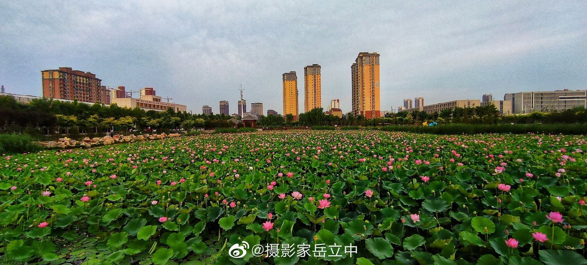 邢台襄都湖公园,位于邢台市襄都区襄都路与红星街交叉口西北角