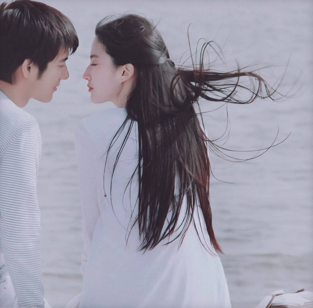 刘亦菲 × 王力宏 「恋爱通告」