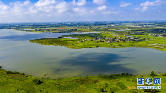 安徽肥东:秋日乡村美|八斗镇|肥东县|南桥_新浪新闻